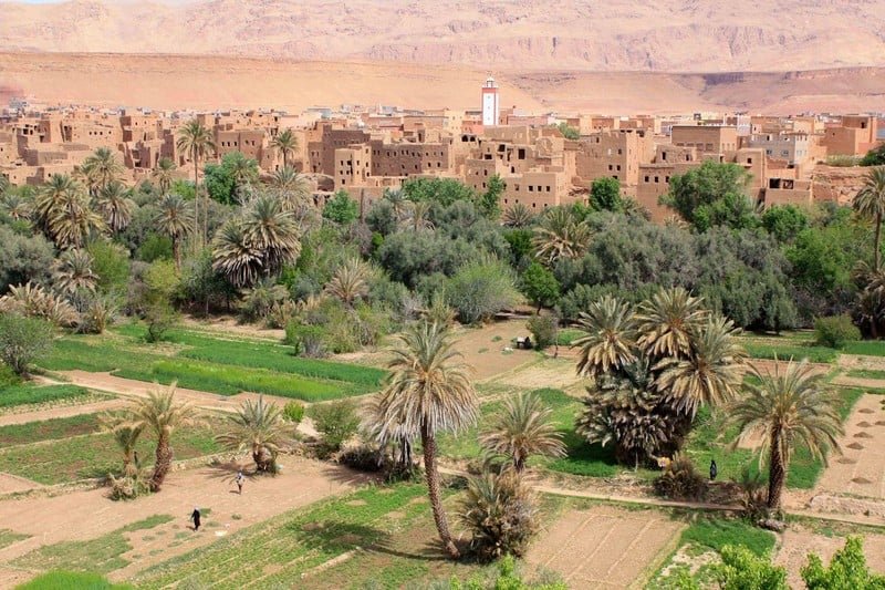 region-tafilalt-sechresse1 الجفاف في جهة درعة تافيلالت: تحديات وحلول